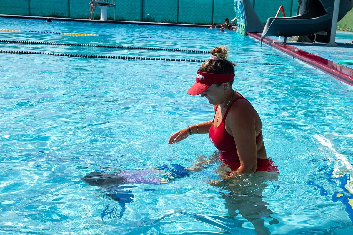 Meilleure Queue de Sirène de Piscine en 2026