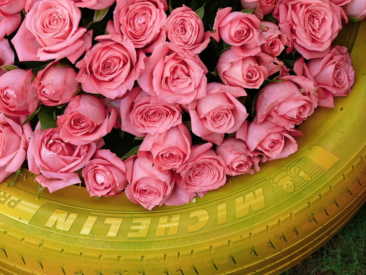 Meilleure Urne de Mariage en 2026 : Guide d'Achat